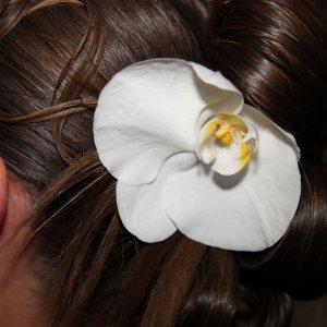 Svatební květina do vlasů z orchideje