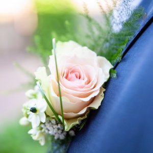 Kytice-korsáž pro ženicha z růže a asparagusu