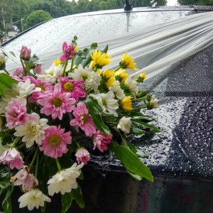Svatební květiny na auto z chryzantém