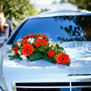 Svatební květiny na auto z gerber a eucalyptu