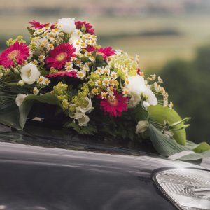 Svatební květiny na auto z gerber a eustomy