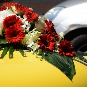 Svatební květiny na auto z gerber, růží a frézií