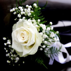 Svatební květiny na auto z růže a gypsophily