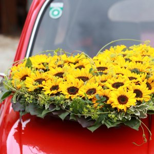 Svatební květiny na auto ze slunečnic