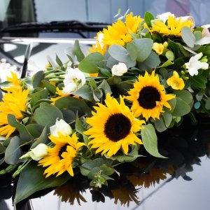 Svatební květiny na auto ze slunečnice, růží, frézií a eucalyptu