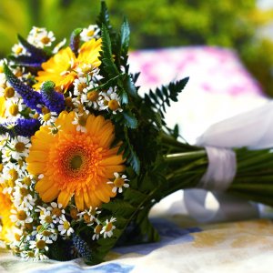 Svatební kytice pro nevěstu z gerbery, veronica dark a arachniodesu