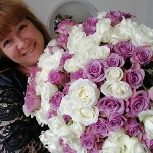 Kytice 100 růží Lavander Agatha