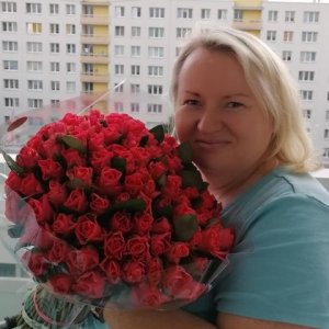 100 růžových růží Pink Taccazzi 40 cm
