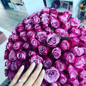Kytice fialových růží Deep Purple