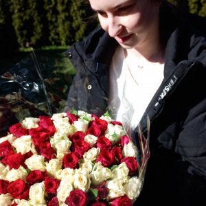 Kytice 100 růží Agatha