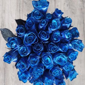 Kytice 35 modrých růží Blue Vendela