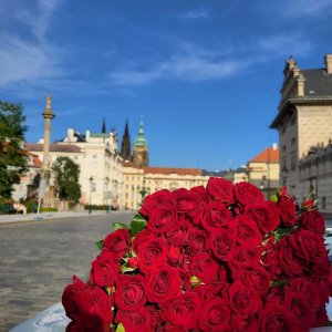 Doručení kytice rudých růží v Praze 1 Hradčanech