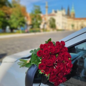 Fotografie doručení červených růží v Praze