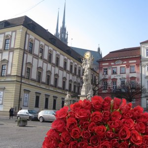 Rozvoz květin v Brně