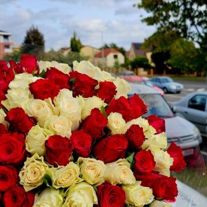 Kytice 100 růží doručená v Praze 20