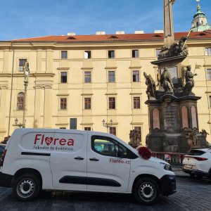 Rozvoz květin chlazenými vozy Florea v Praze 17