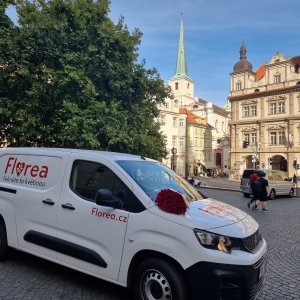 Doručení kytic online Praha 17