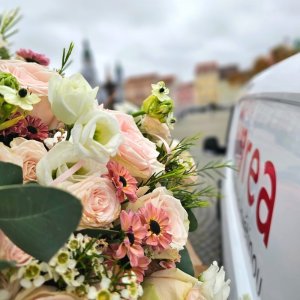 Rozvoz květin Florea v Českých Budějovicích