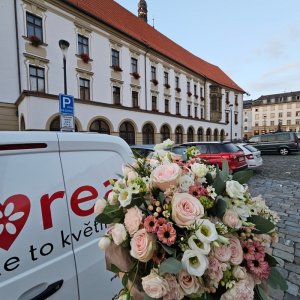 Rozvoz květin Olomouc