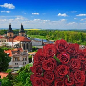 Rozvoz a doručení květin v Roudnici nad Labem