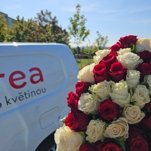 Rozvoz květin v Ostravě