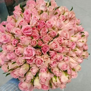 Kytice 100 růžových růží Babyface 40cm