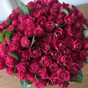 Kytice 100 růžových růží Movie Star 40cm