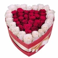 Srdce růží na sv.Valentýna