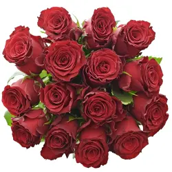 15 červených růží