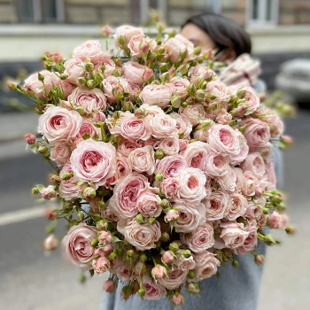 Luxusní mnohokvěté růže