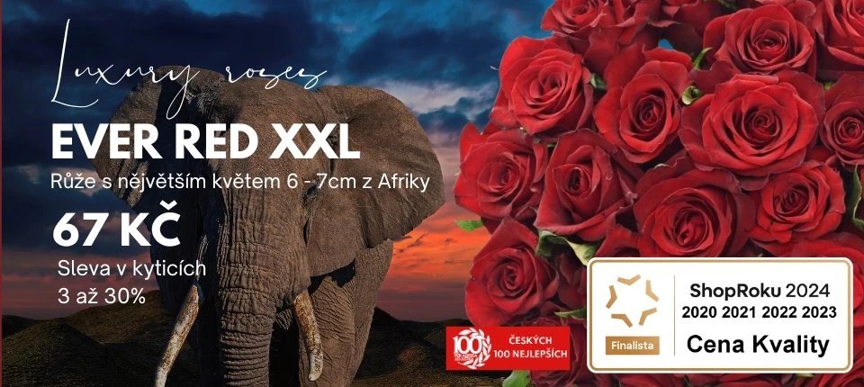 Doprava kvalitních kytic až do domu za skvělé ceny