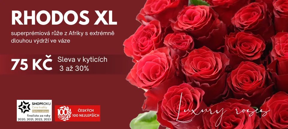 Doprava kvalitních kytic až do domu za skvělé ceny