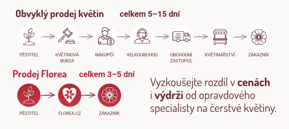 Doprava kvalitních kytic až do domu za skvělé ceny