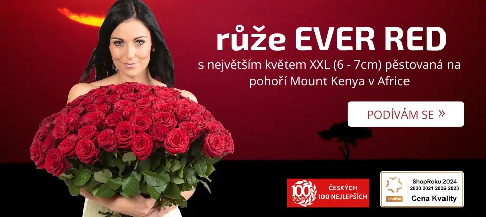 Doprava kvalitních kytic až do domu za skvělé ceny