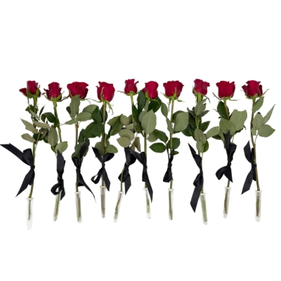 10 smutečních rudých růží 60cm (XL) se stuhou