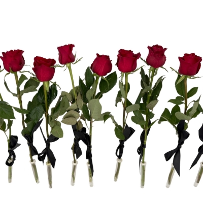 10 smutečních rudých růží 60cm (XL) se stuhou