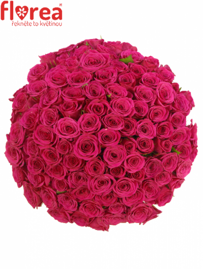 Kytice 100 růžových růží FUCHSIANA 40cm 