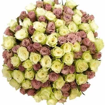 Míchaná kytice 100 vícebarevných růží NEONA 40 cm