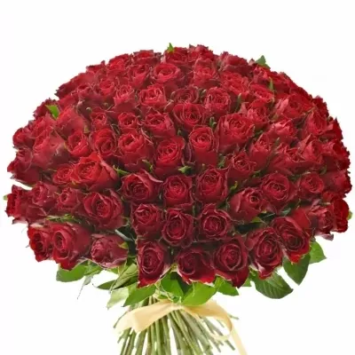 100 ruží Madam Red 60cm