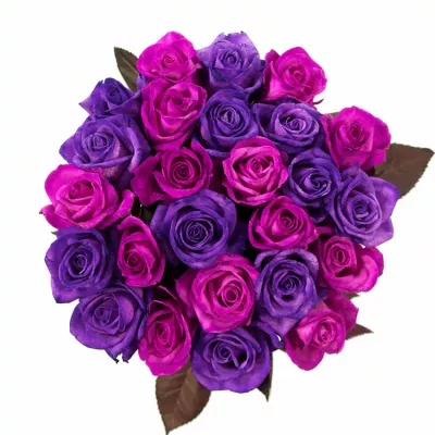 Kytice 25 barvených růží ABDERA