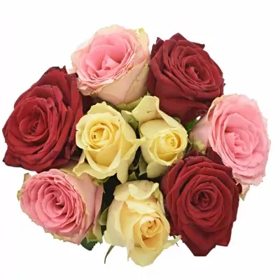 Míchaná kytice 9 vícebarevných růží SCARLETT 60 cm