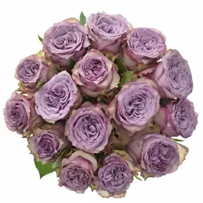 Kytice 15 fialových růží DOLCETTO! 40cm