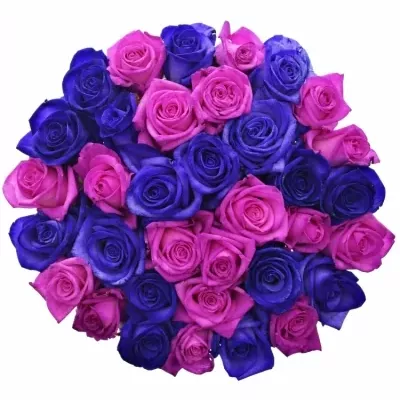 Míchaná kytice 35 barvených růží ABDERA 70 cm