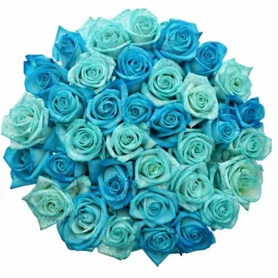 Kytice 35 modrých růží ICE BLUE ADRIANA 70 cm