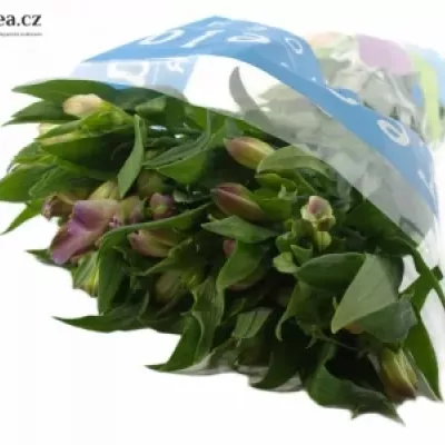 Boubelka MONTE AZZURRO 75g