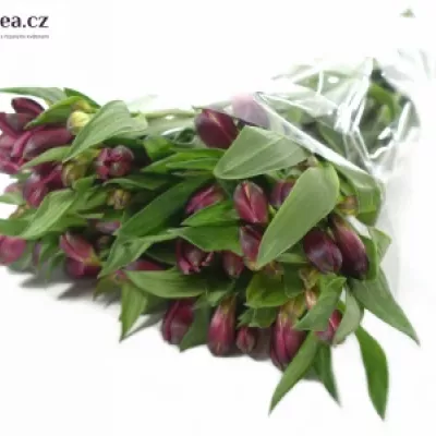 Boubelka MONTE CERVINO 60g