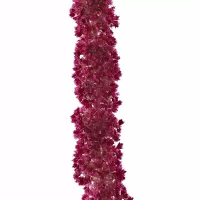 Amarantus C LOVE LIES BLEEDING 60cm