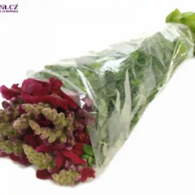  Antirrhinum OPUS BRIGHT RED