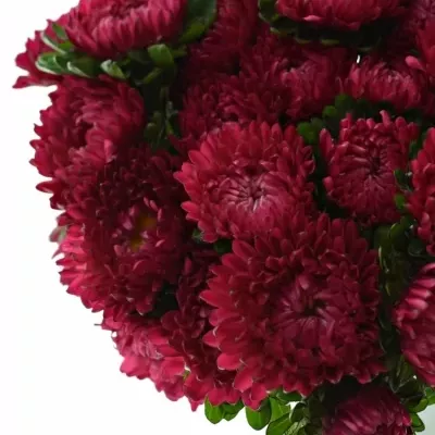 Astra čínská MATSUMOTO MIX