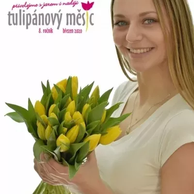 Benefice Amelie kytice 25 tulipánů STRONG GOLD